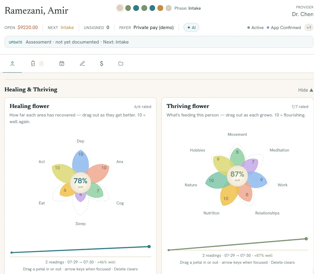 Gestalt 1.0 Healing and Thriving flower visualization showing patient progress across multiple domains